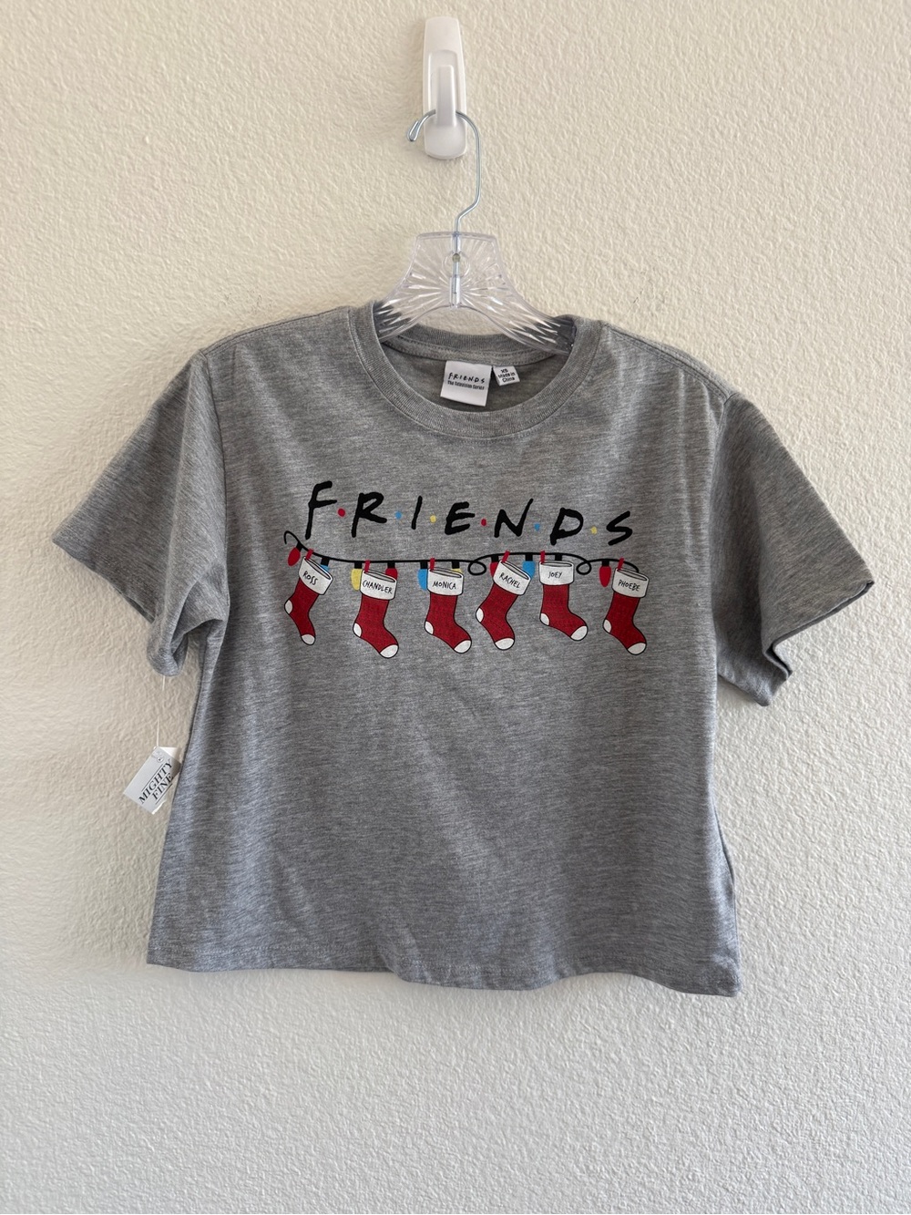 Friends Gray Christmas Crop Top with Red Stocking, Names and Lights Graphic